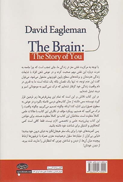 مغز(زندگی ما چگونه شکل می گیرد)