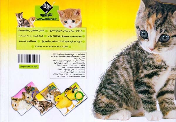 لمس می کنم حس می کنم و می گویم پیشی پیشی جان چه نازی