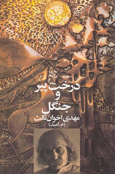 درخت پیر و جنگل