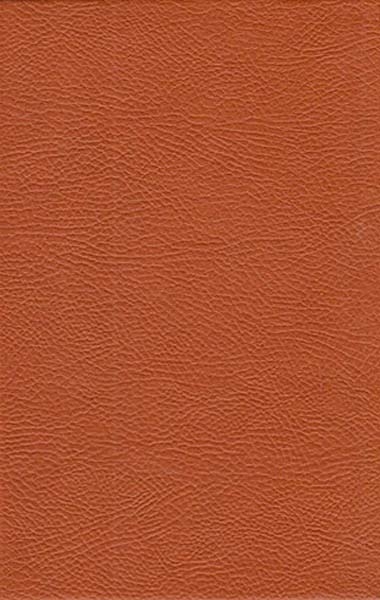 شکوه عشق(چهل کلید عشق مولانا و شمس)