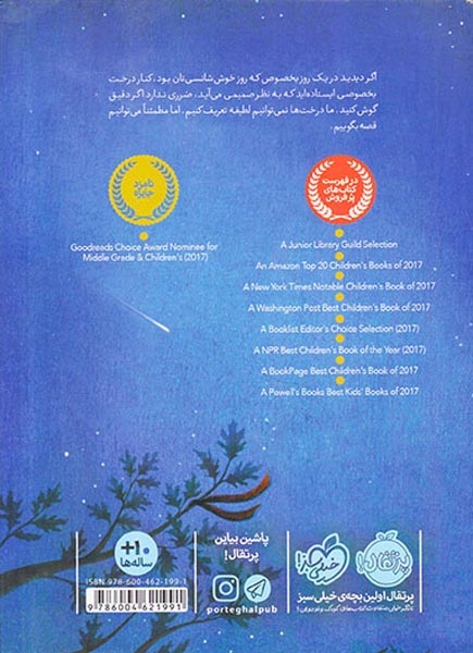 درخت آرزو(پرتقال)حضرتی