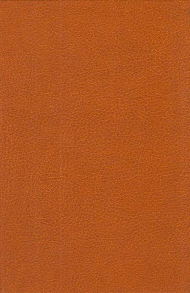 ایزابلا جیبی چرم