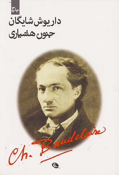 جنون هشیاری