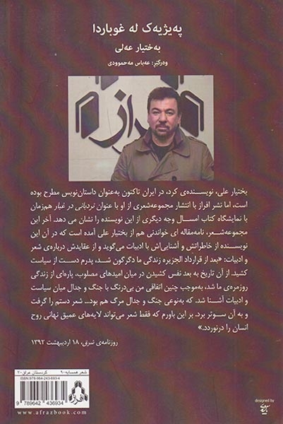 نردبانی در غبار