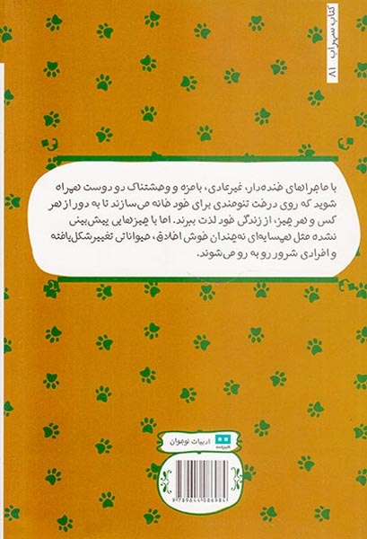 گربه بودن