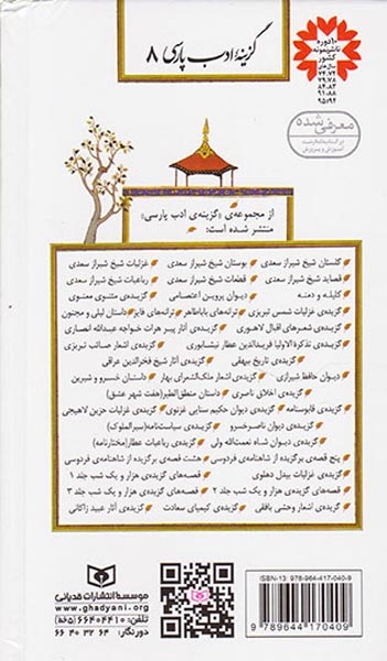 دیوان پروین اعتصامی پالتویی(قدیانی)رجب زاده