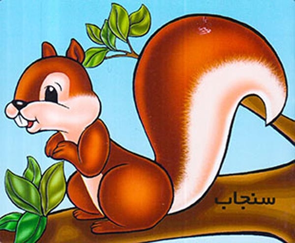 آموزش حیوانات وحشی سنجاب(خانه ادبیات)