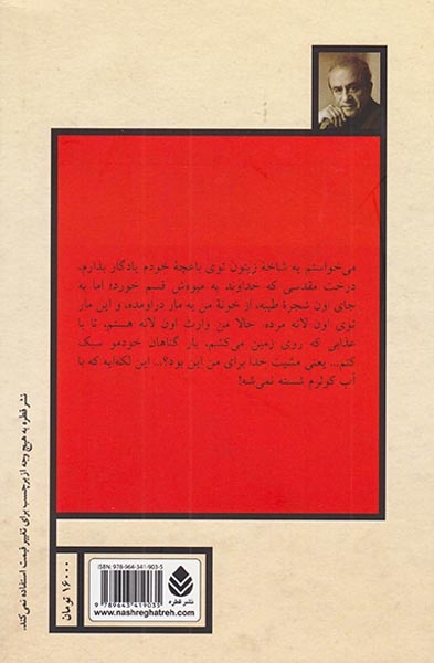 تانگوی تخم مرغ داغ
