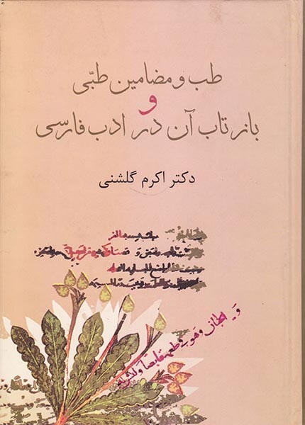 طب و مضامین طبی و بازتاب آن در ادب فارسی