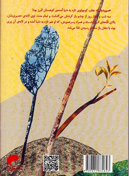 سپیدبال داستانی درباره خواستن