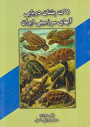 لاک پشتان دریایی آبهای سرزمینی ایران(الیما)موری
