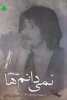 نمی دانم ها(دارینوش)حسین پناهی