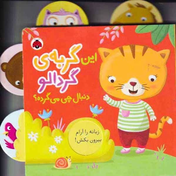 دنبال چی می گرده(این گربه ی گردالو)شهرقلم