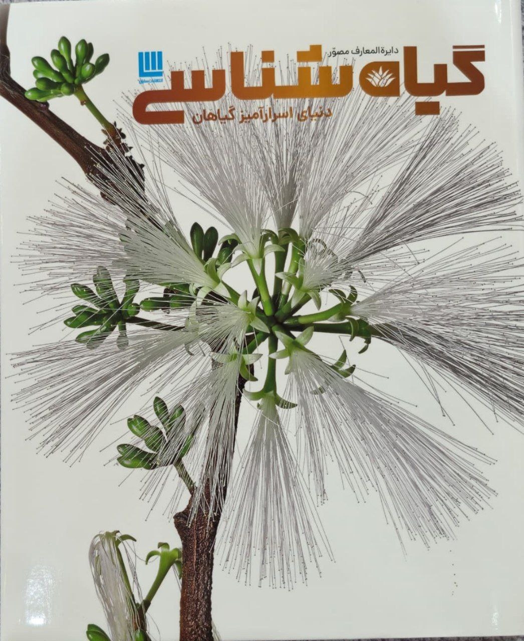 دایره المعارف مصور گیاه شناسی(دنیای اسرارآمیز گیاهان)سایان