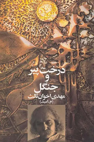 درخت پیر و جنگل