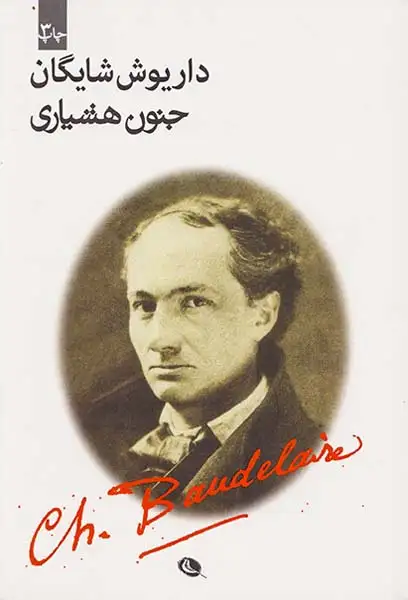 جنون هشیاری