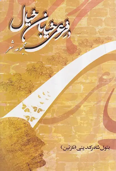 در فرعی خیابان خیال(تراوا)رکندینی