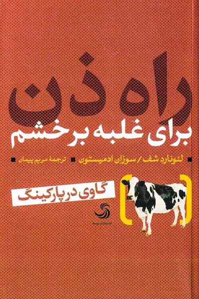 راه ذن برای غلبه بر خشم