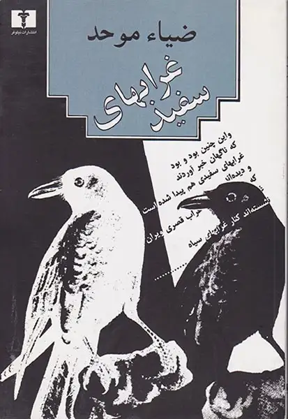 غرابهای سفید