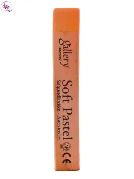 پاستل گچی گالری Medium Flesh کد 005