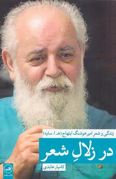در زلال شعر(زندگی و شعر امیر هوشنگ ابتهاج)