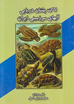 لاک پشتان دریایی آبهای سرزمینی ایران(الیما)موری