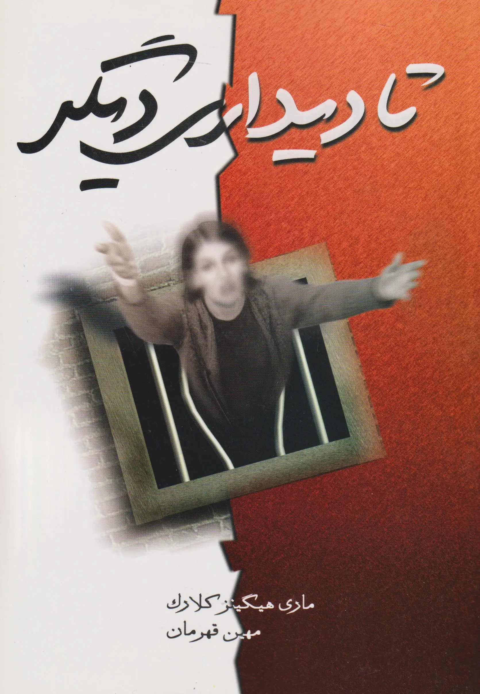 تا دیداری دیگر